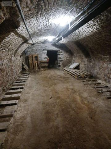 Murs commerciaux à vendre à Bar-sur-Seine dans l'Aube (10110), ref : 10063/1273