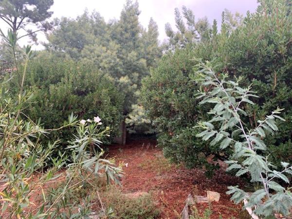 MAISON ARCACHON ABATILLES