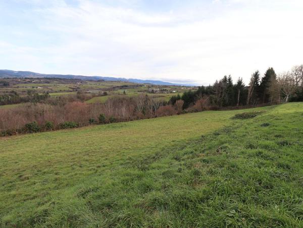 Maison Sauviat 5 pièce(s) 90 m2 environs + garage  et 7000m2 de terrain dont 3000 constructibles