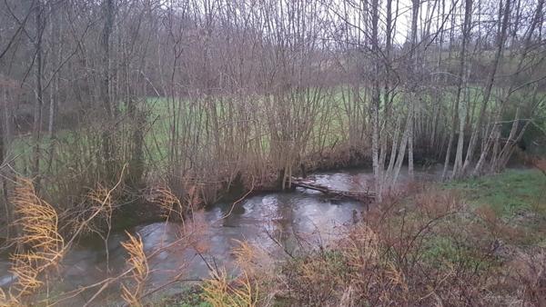 Ancien corps de ferme à rénover sur 13.000m²
