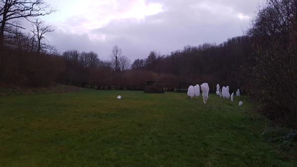 Ancien corps de ferme à rénover sur 13.000m²