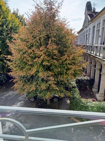 Appartement à louer à Mâcon (71000)