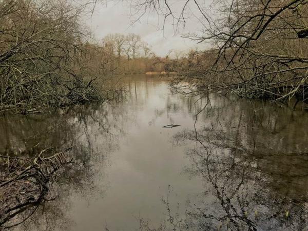 Terrain à vendre |  Oradour-sur-Vayres |  23730 m²