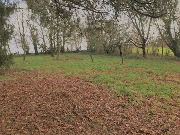 Terrain à vendre |  Oradour-sur-Vayres |  23730 m²