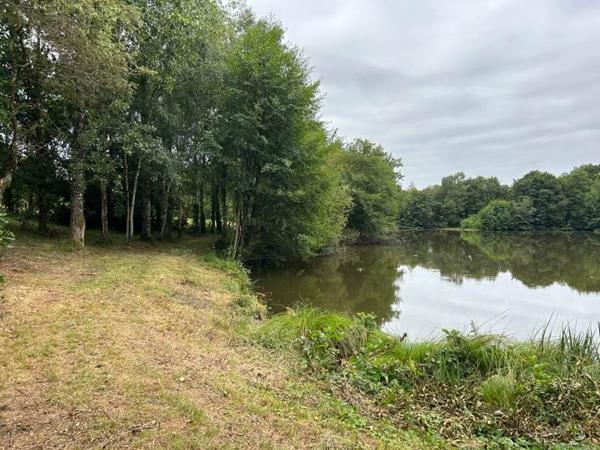 Terrain à vendre |  Oradour-sur-Vayres |  23730 m²