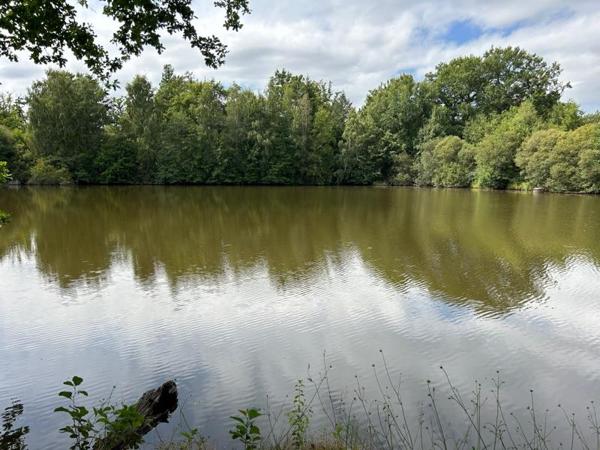 Terrain à vendre |  Oradour-sur-Vayres |  23730 m²