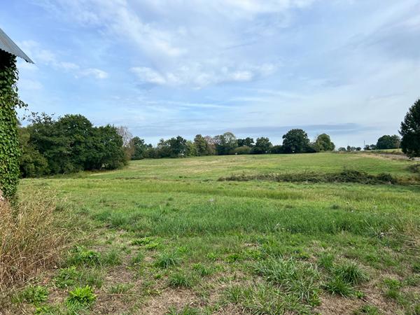 Fermette à rénover - 80 m2 - 9000 m2 de terrain , Saint berthevin la tanniere