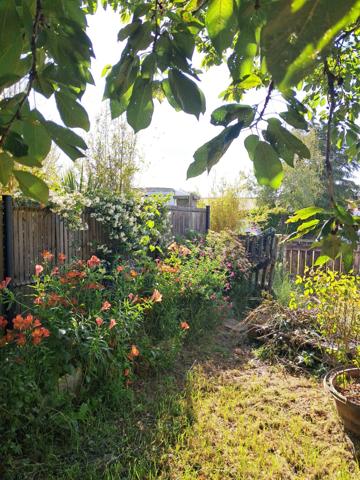 Plain Pied près du Golf - Viager Occupé