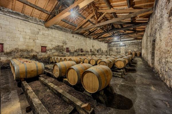 Élégance et héritage un château d'exception au coeur d'un vignoble classé Montagne