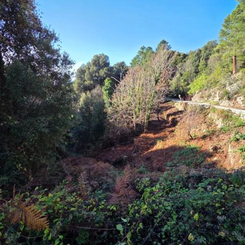 VERO (20) TERRAIN A BATIR