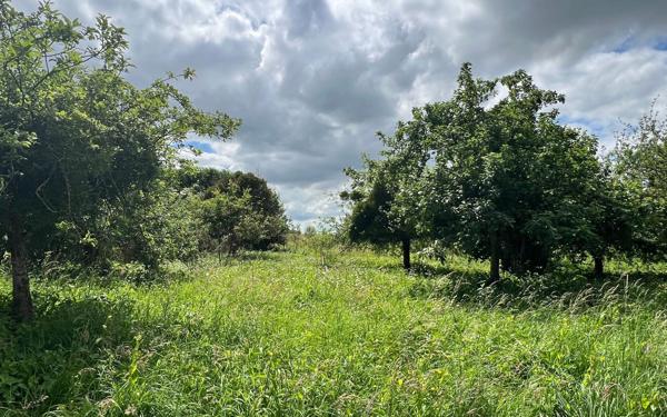 Terrain à vendre    Jouy-le-Châtel
