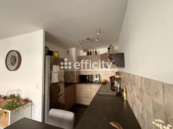 Appartement 2 pièces - 50 m² Exclusivité efficity