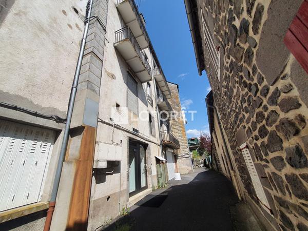 Achat immeuble Pierrefort - 19 pièce(s) - 220 m² - 130 000 €