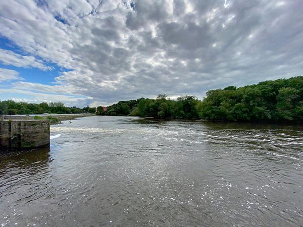 CHAUSSEE DES MOINES VERTOU MAISON PIERRE 3 CHAMBRES GRANDE TERRASSE
