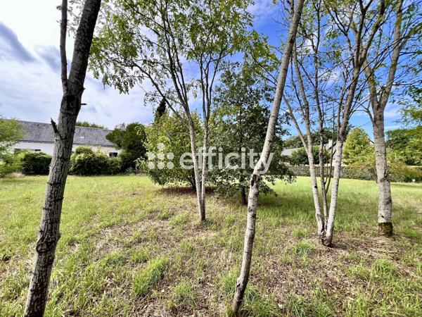 Terrain - 1641 m²
