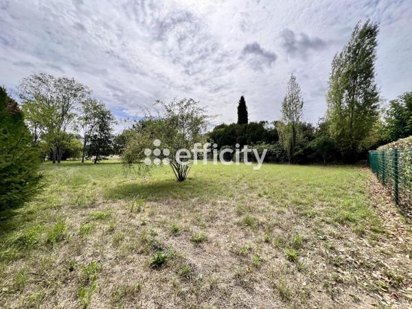 Terrain - 1641 m²