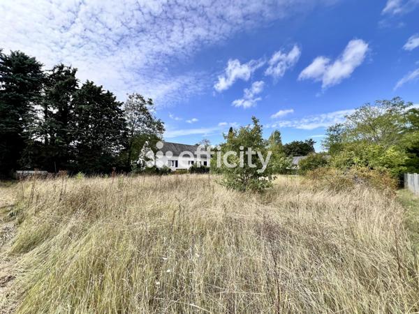 Terrain - 1641 m²