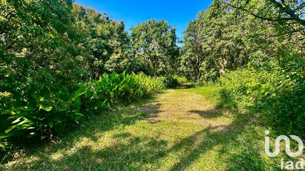 Maison à vendre 12 pièces 650 m² Saint-Benoît