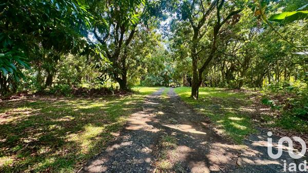 Maison à vendre 12 pièces 650 m² Saint-Benoît