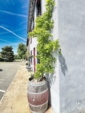 Maison à vendre 11 pièces BAZELAT (23)