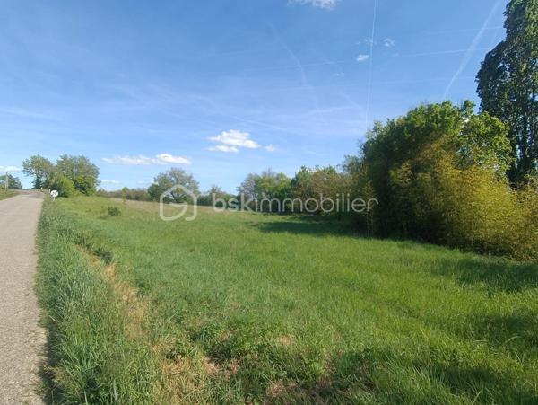 Terrain de 5 862 m²