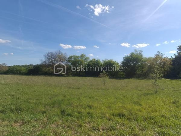 Terrain de 5 862 m²