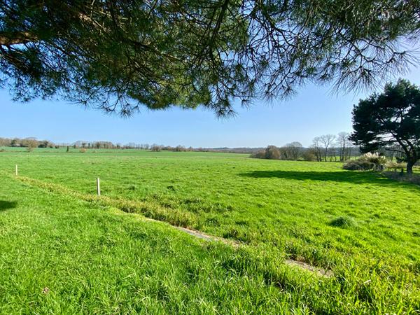 Maison à vendre à Taden proche Dinan- 5 pièces, 4 chambres dont une au rez-de-chaussée, 1256m² de terrain