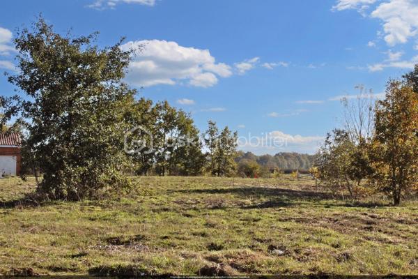 Sur la commune de Nègrepelisse, opportunité à saisir , avec ce charmant terrain de 434m², au calme et proche du centre et, donc de toutes commodités (crèche, écoles primaires, collège, médecins, pharmacies, grandes surfaces, commerçants...).
Vous aurez 434m² pour poser une villa sur mesure.
La proximité avec Montauban, située à 12 minutes, est un atout.
Les terrains sont vendus viabilisés et reliés au tout-à-l'égout.
D'autres surfaces sont disponibles, allant de 434m² à 778m² ce lot et le numéro 34 sur 37.
Ce terrain est libre de tout constructeur, mais, je peux vous aider, et vous proposer un projet avec un constructeur de maison individuelle sans aucune obligation de votre part, photo de maison non contractuelle.
VENEZ VISITER CE BIEN AVEC BERDIN PATRICK DE L'AGENCE BSK IMMOBILIER AU 06-31-26-05-60 ou p.berdin@bskimmobilier.com  Annonce immobilière rédigée sous la responsabilité éditoriale de Patrick BERDIN - RSAC N° 494-071-749 - Ville du greffe : MONTAUBAN. RCP : 59661778 www.georisques.gouv.fr