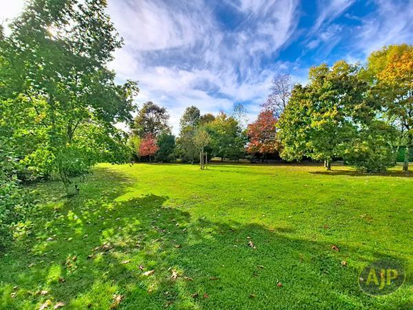 Vente maison Chantonnay : 499 000 € - AJP Immobilier La Roche-sur-Yon