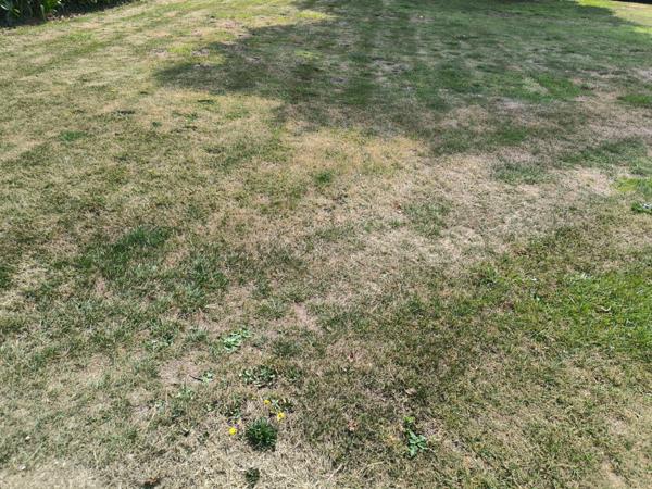 Appartement en duplex avec terrain