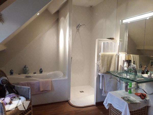 CHARMANT ENSEMBLE IMMOBILIER A BRACIEUX, PROCHE CHATEAU DE CHAMBORD
