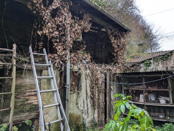 Laissez-vous séduire par le charme authentique du Périgord avec cette grange en pierre située à Saint-Aulaye-Puymangou, au cœur d'un environnement calme et verdoyant.
Cette grange offre un beau potentiel d'aménagement pour concrétiser de nombreux projets. À l'extérieur, un jardin vous permettra de profiter pleinement des beaux jours dans un cadre paisible. À l'arrière, un bâtiment cadastré supplémentaire d'environ 30 m², pouvant être aménagé, vient compléter l'ensemble et offre une belle opportunité d'agrandissement.
Vous apprécierez la qualité de vie qu'offre cette commune classée parmi les Petites Cités de Caractère. Entre la rivière Dronne, sa plage aménagée, les sentiers de randonnée, les forêts de la Double et le patrimoine médiéval, le secteur séduira aussi bien les amoureux de nature que les passionnés d'histoire. Les commerces et services du quotidien sont accessibles en quelques minutes.
Une belle opportunité pour un projet de rénovation, une résidence secondaire ou un investissement