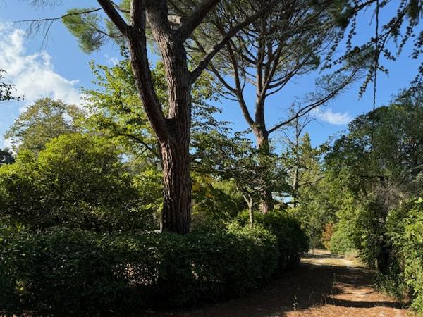 Villeneuve-lès-Avignon (30400) Grande maison de famille