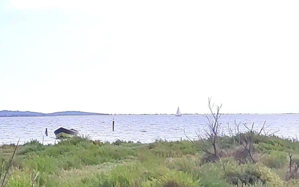 Maison à vendre    8 pièces •  Bages