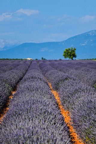 Domaine d'évènementiel en Provence
