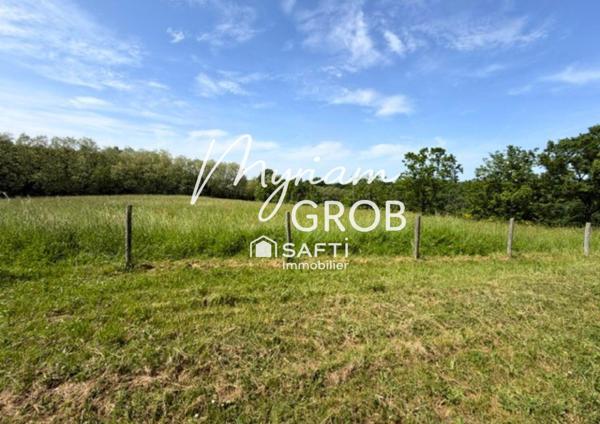 Propriété de 185 m2 avec nature à perte de vue aux pied des coteaux du Fau- Montauban
