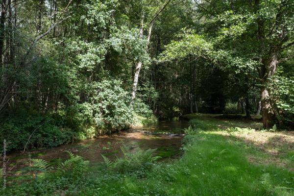 Lieu insolite, cadre exceptionnel, calme, etc, etc, etc...