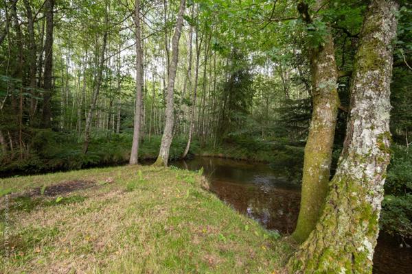 Lieu insolite, cadre exceptionnel, calme, etc, etc, etc...