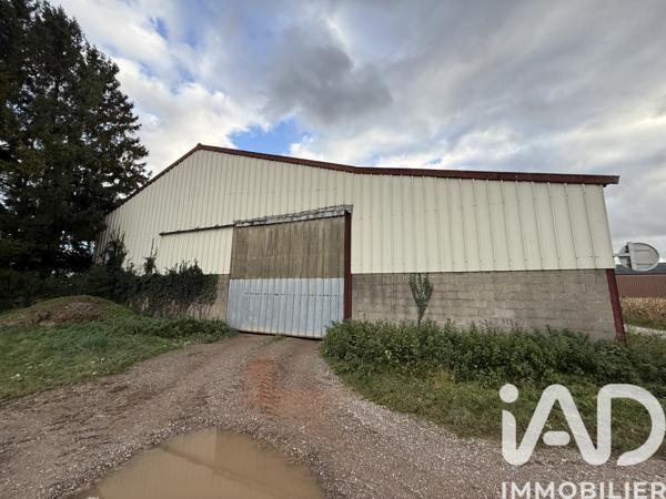 Terrain à vendre 1 185 m² Krautergersheim