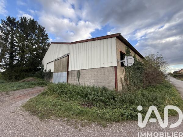 Terrain à vendre 1 185 m² Krautergersheim