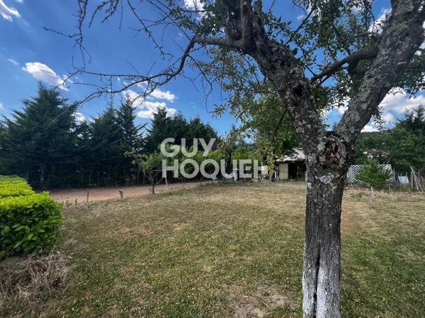 Rozier-en-Donzy : terrain constructible 710 m² au calme