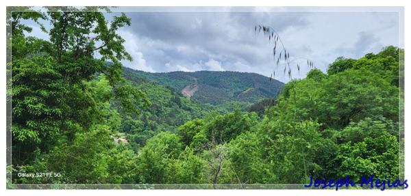 Saint-Christol (07160) Saint Christol, maison en pierre de pays et terrain de plus de 3000 m²