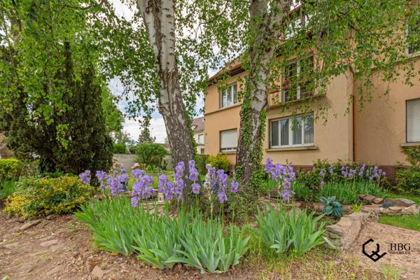 Haguenau (67500) Grande maison familiale – 310 m² – Terrain 1 221 m² – Haguenau centre