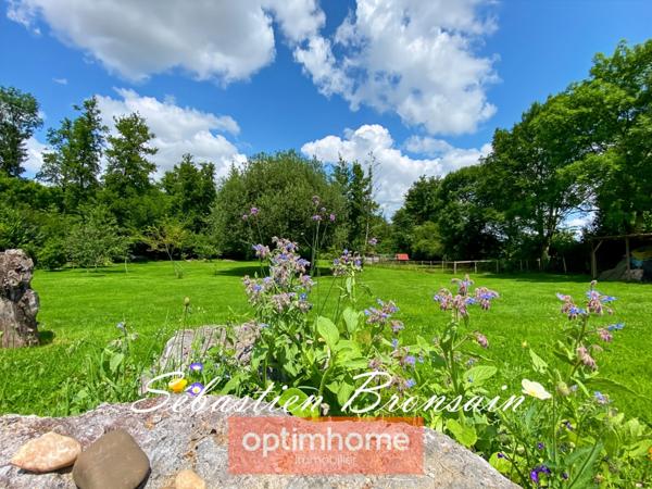 🌲 À VENDRE – HAVRE DE PAIX AU CŒUR DE LA NATURE JURASSIENNE 🌲
