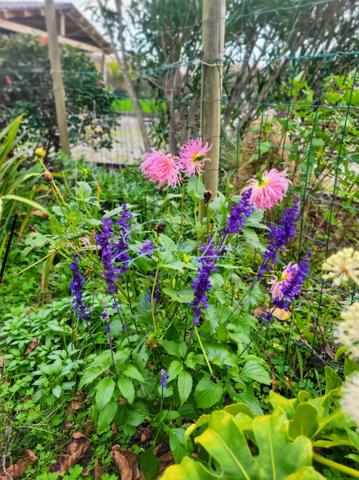 Pont-Aven – Maison rénovée 170 m² + T3 indépendant louable – Rentabilité immédiate – 2 habitations – Dépendances