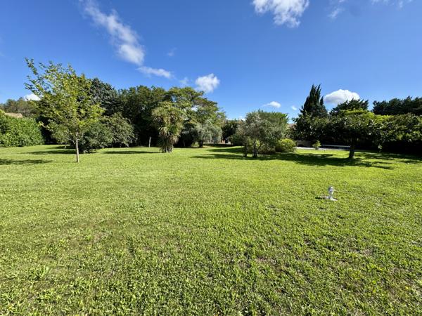 Mas Provençal entièrement rénové Piolenc (84420)