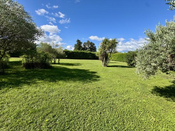 Mas Provençal entièrement rénové Piolenc (84420)