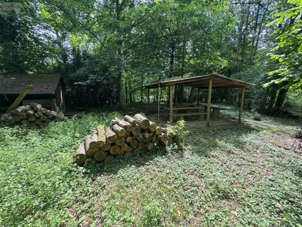 Achat - Terrain de loisirs, bois, étangs Truyes 37320 3482 m 2