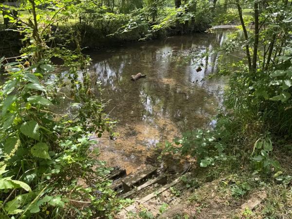 Achat - Terrain de loisirs, bois, étangs Truyes 37320 3482 m 2