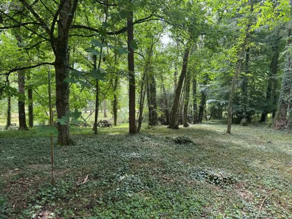 Achat - Terrain de loisirs, bois, étangs Truyes 37320 3482 m 2